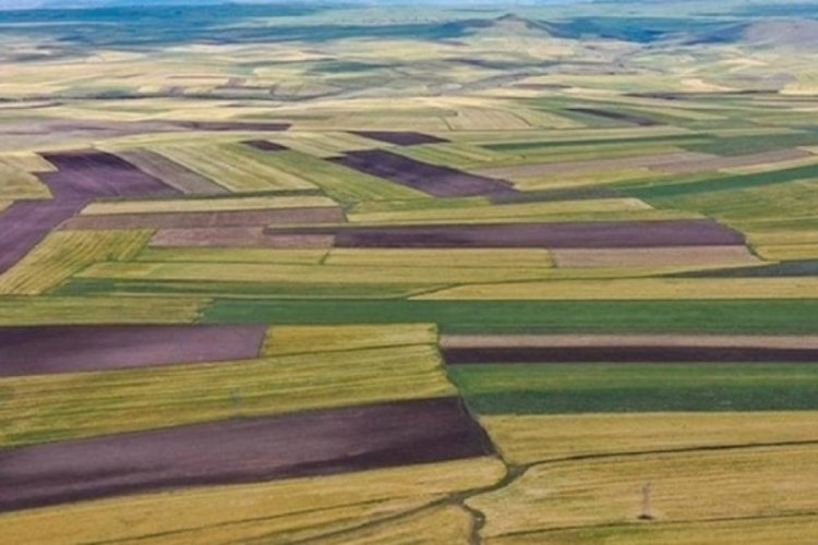 Bu ülke Türk vatandaşlarına ücretsiz arazi veriyor 