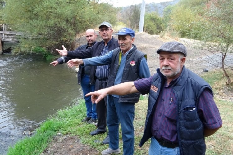 Köylüler mağdur! Müdahale edilmesini istiyorlar