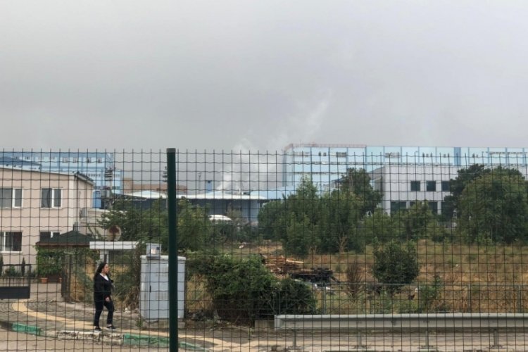 Bursa'da kirlilik çığ gibi büyüyor! Endişe büyük...