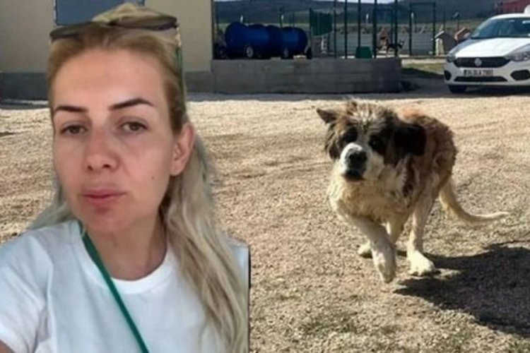 Kuduz köpek davası: Buket Özgünlü Boyacı hakkında karar 