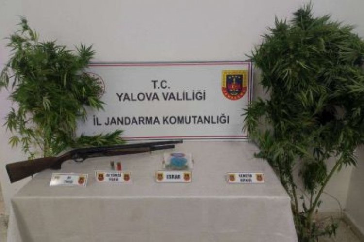 Jandarmadan uyuşturucu operasyonu!&nbsp; 