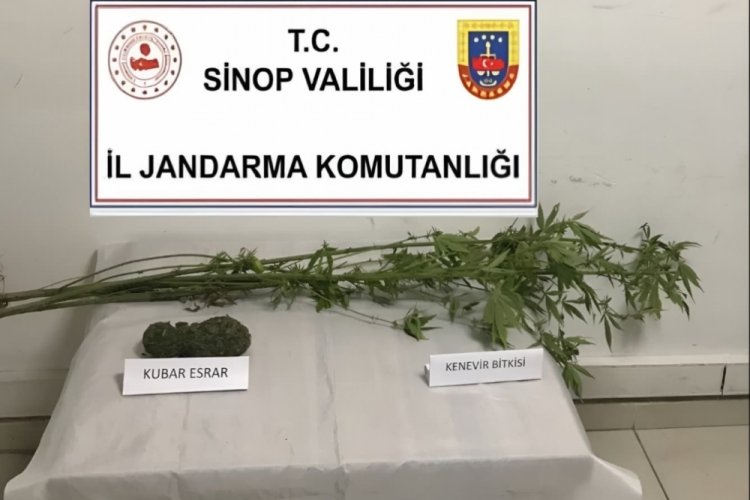 Sinop'ta kenevir ve kubar esrar ele geçirildi