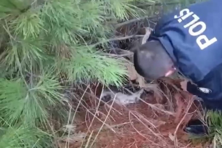 Polis ka&ccedil;ak avcılık tuzağı ele ge&ccedil;irdi