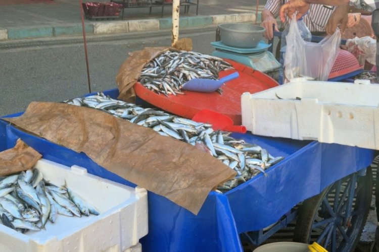 "Bu senenin balığı" diye duyurdu! Kilosu 100 liradan satılıyor
