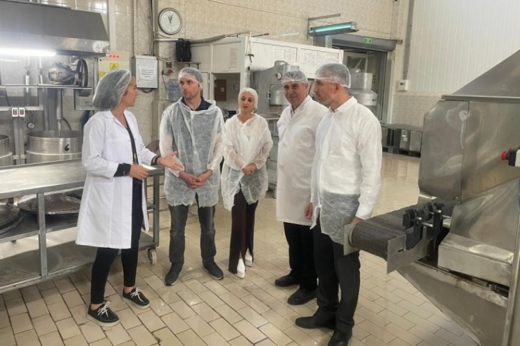 TKDK, 'Kardelen örnek niteliği taşıyor"