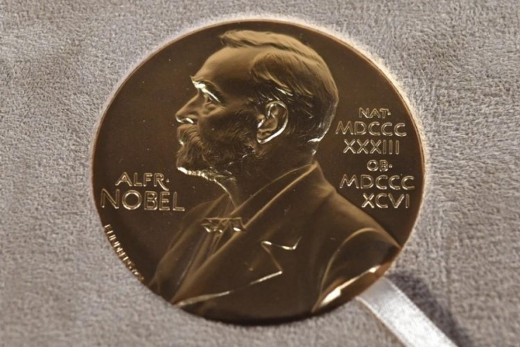 2025 Nobel Tıp &Ouml;d&uuml;l&uuml;'n&uuml;n sahipleri belli oldu