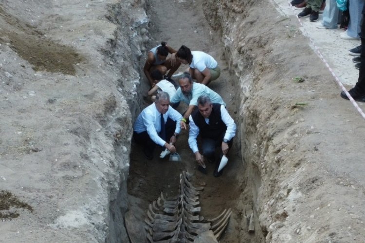 Şaşırtıcı keşif! Tamamen ortaya &ccedil;ıktı