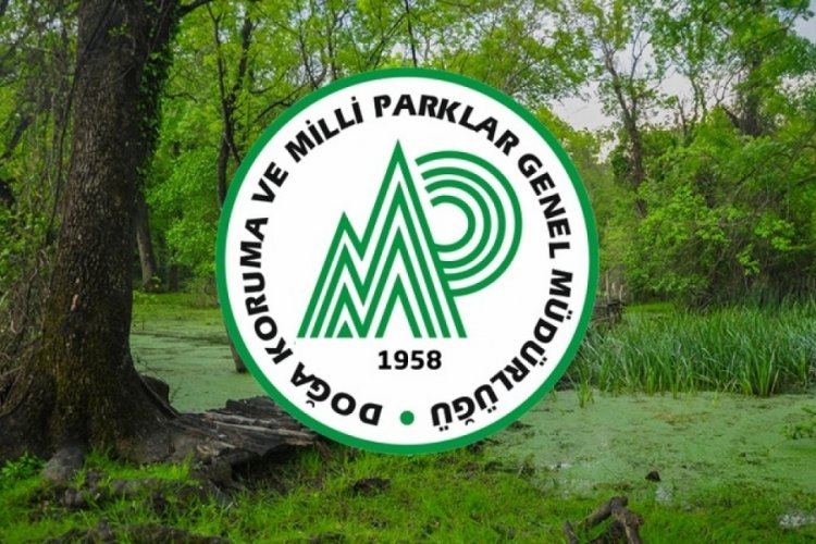 Doğa Koruma ve Milli Parklar 240 personel alımı yapacak! 2025 DKMP personel alımı ne zaman, nasıl başvuru yapılır, şartları neler?