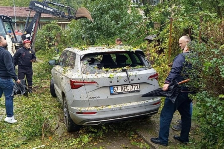 Talihsiz kaza! Otomobilin &uuml;zerine ağa&ccedil; devrildi