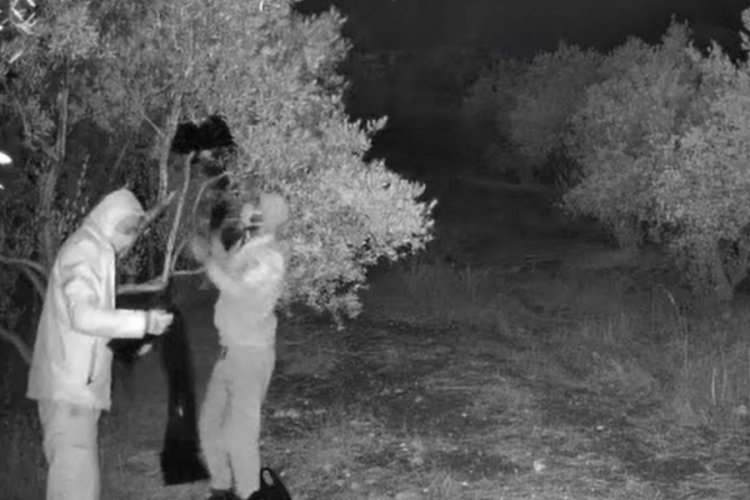 Ka&ccedil;ak tarihi eser kazısına su&ccedil;&uuml;st&uuml;: 4 g&ouml;zaltı