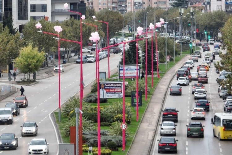 Bursa'da sokak lambaları pembe yanıyor!
