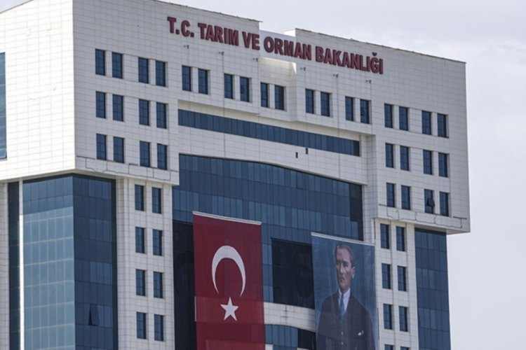 Bakanlık a&ccedil;ıkladı! &Ccedil;ok sayıda personel alınacak...