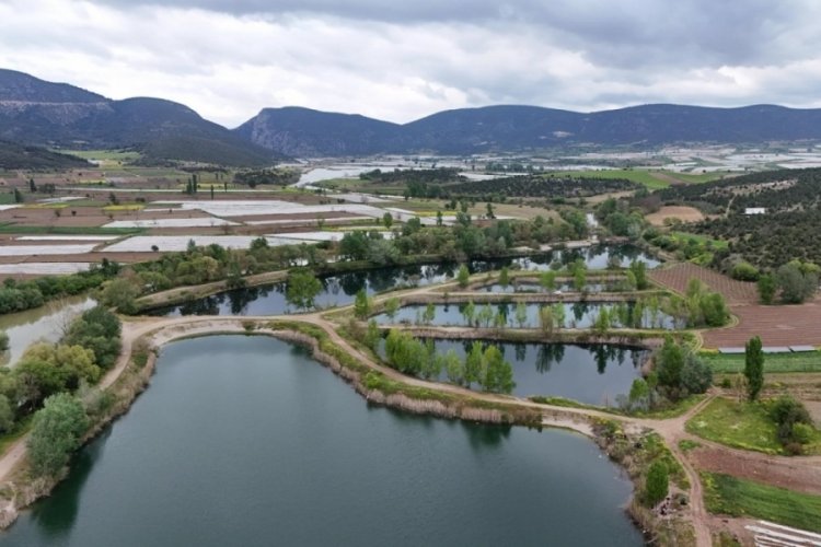 Bilecik'in doğa harikası koruma altına alındı