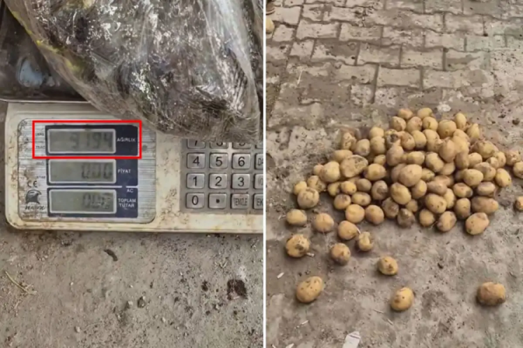 Ahlaksızlıkta son nokta: 22 kiloluk &ccedil;uvaldan 13 kilo patates &ccedil;ıktı