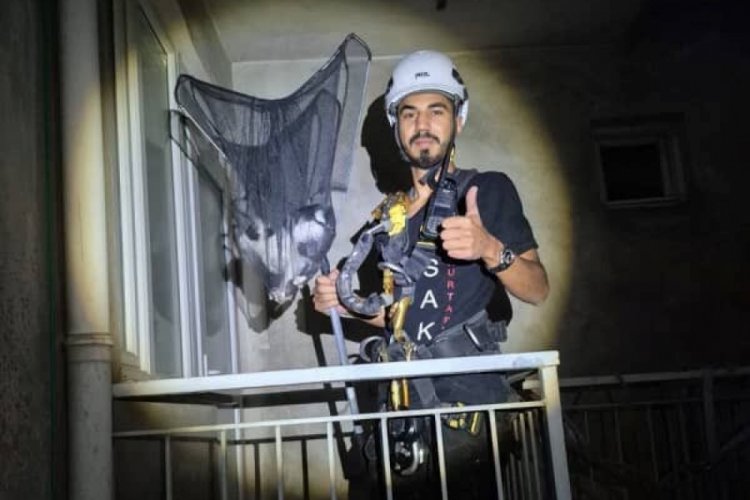 Yavru kediyi kurtarma operasyonu: Apartman boşluğunda...