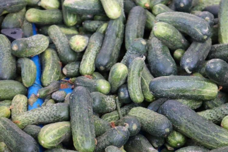 Fiyatı y&uuml;ksek olsa da sofralardan eksik olmuyor