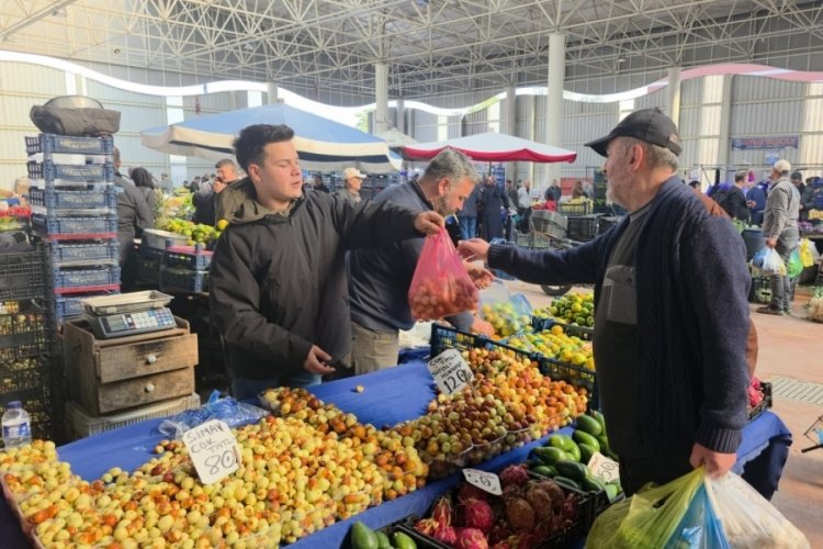 Bu meyve bir&ccedil;ok rahatsızlığa şifa oluyor!