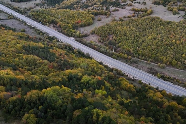Bolu ge&ccedil;işinde ağa&ccedil;lar sarı, turuncu ve kızıl tonlara b&uuml;r&uuml;nd&uuml;