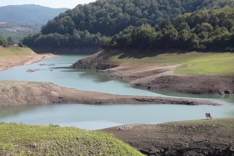 Marmara B&ouml;lgesi'nin barajlarında alarm! Kritik seviyede...