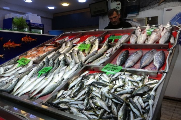 Bu yıl bolluk var! "Denizlerin Prensi" 850 liradan tezgahlarda