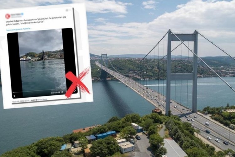 DMM'den net a&ccedil;ıklama! Boğaz'da 'balık soykırımı' iddiası dezenformasyon &ccedil;ıktı