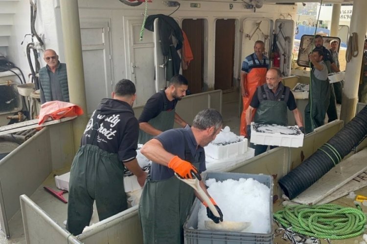 Karadeniz'den kasalarca hamsi &ccedil;ıktı