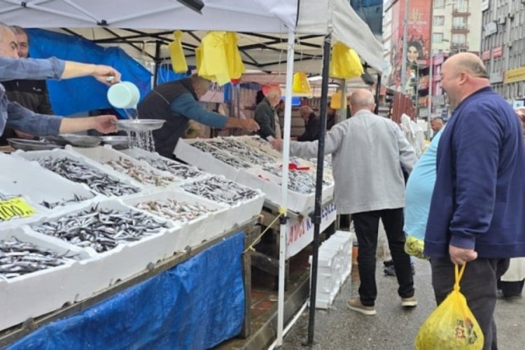 Balık&ccedil;ılar limana bol miktarda hamsiyle d&ouml;n&uuml;yor