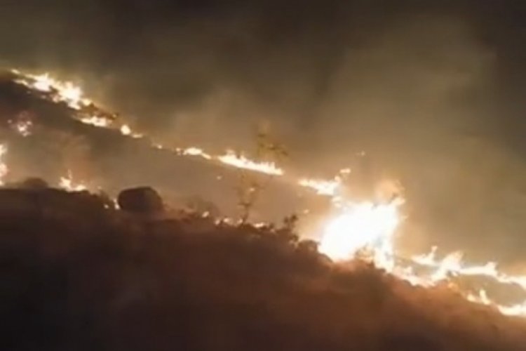 Emirgazi'de mera yangını