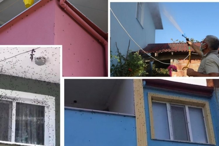 Her yerdeler! Binlerce kişi seferber oldu