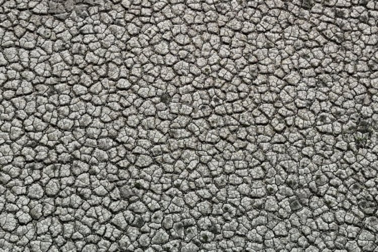 Sular &ccedil;ekilince toprak &ccedil;atladı: Kuraklığın yansımaları...