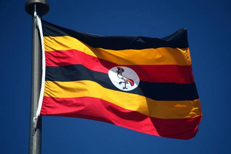 Uganda'da trafik kazası: 63 &ouml;l&uuml;