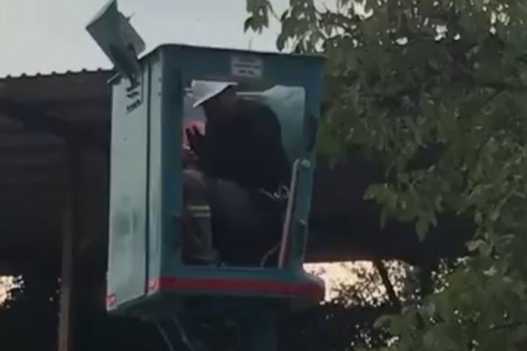 Bursa'da tehlikeli anlar! Arı saldırısına uğradı...