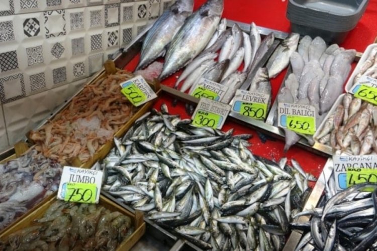 Denizden bolluk taştı, fiyatı yarıya d&uuml;şecek
