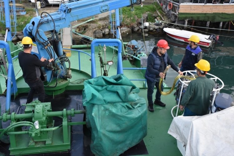 Karadeniz'de balık stokları araştırılıyor