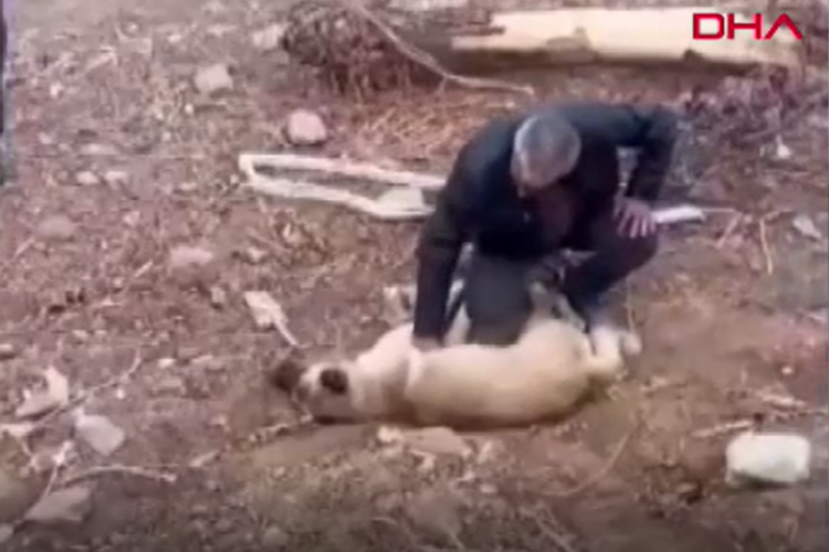 Fenalaşan k&ouml;peği kalp masajıyla kurtardı! O anlar kamerada...
