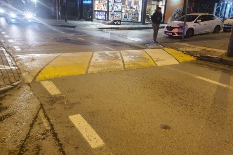 Bursa i&ccedil;in yeni g&uuml;ndem! "T&uuml;msekler k&uuml;&ccedil;&uuml;lt&uuml;ls&uuml;n"