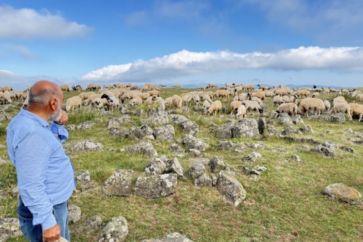 Ke&ccedil;ilere yalatıyorlardı: Mezar taşı olduğu ortaya &ccedil;ıktı