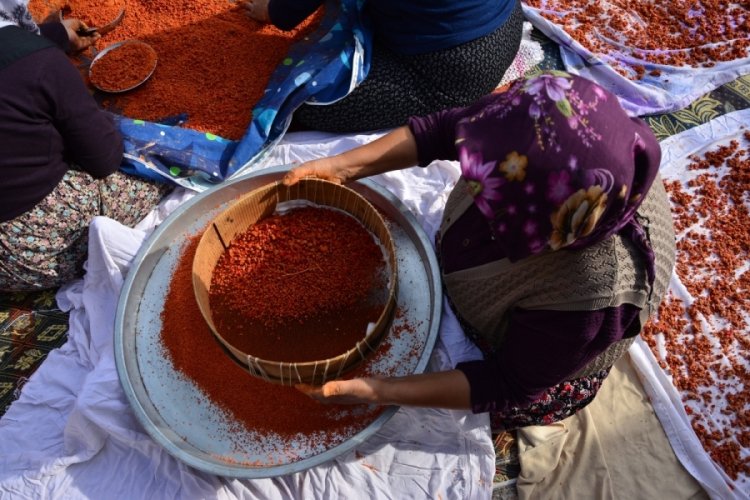 16 &ccedil;eşit tarhanayı kışa hazırlıyorlar