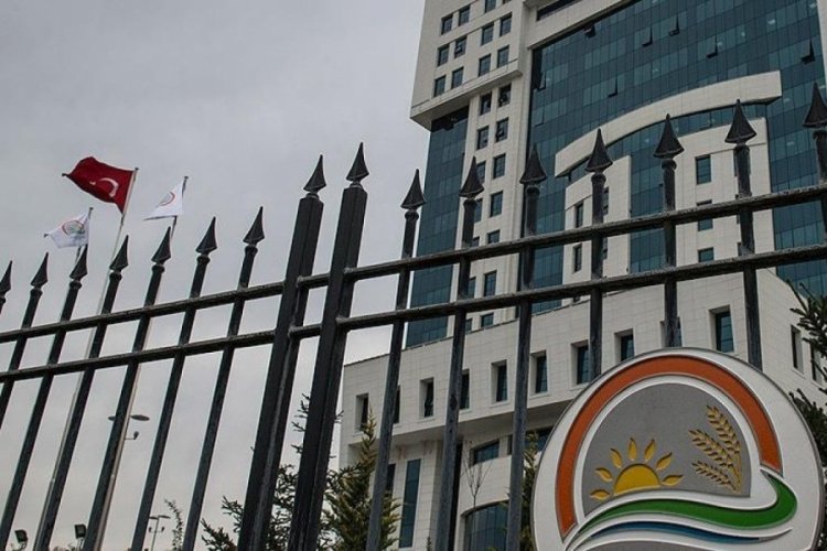 Bakanlık duyurdu: 15 personel alınacak
