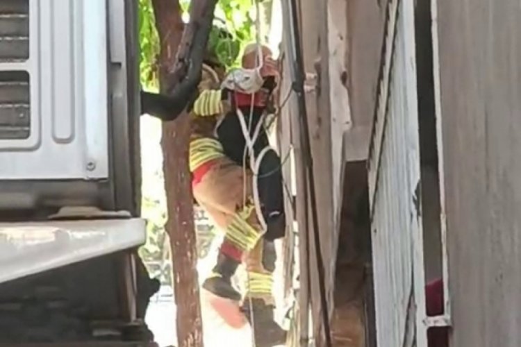 Ağa&ccedil;ta asılı kalan adamı itfaiye ekipleri kurtardı