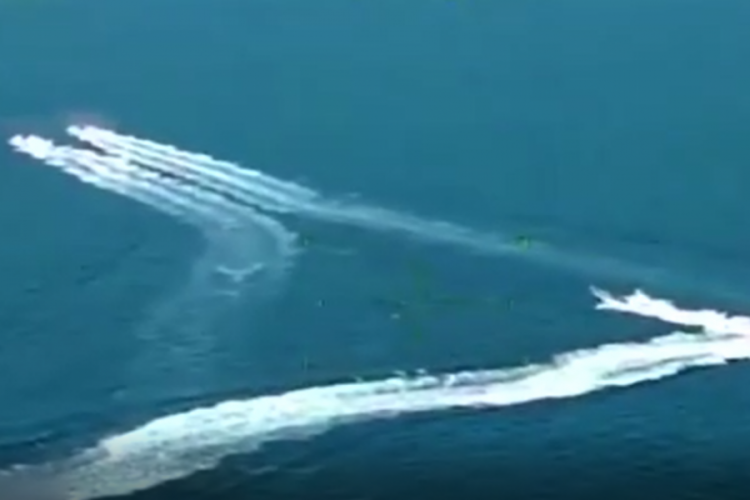 Denizde nefes kesen kovalamaca! Binlerce kilo yakalandı...