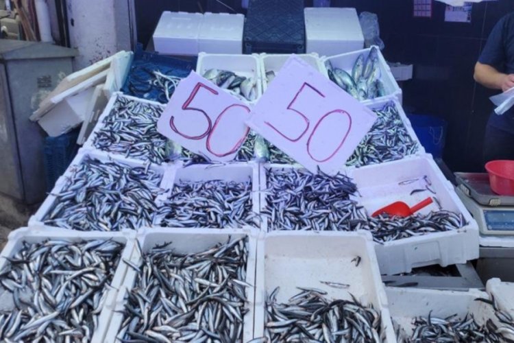 Fiyatı 50 liraya d&uuml;şt&uuml;; vatandaş tezgaha koştu