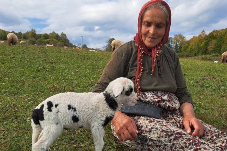Eşinden sonra oğluyla &ccedil;obanlık yapıyor