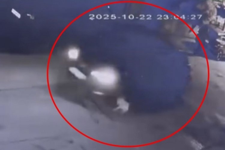 Bursa'da cip gezmeye &ccedil;ıkarılan k&ouml;peğe &ccedil;arptı! O anlar...