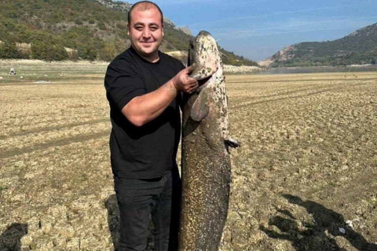 Bursa'nın kuruyan g&ouml;l&uuml;nde bir adam boyu balık yakalandı!