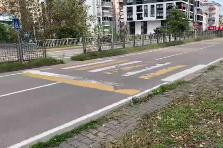 Kamyonetin &ccedil;arptığı sağlık personeli ağır yaralandı