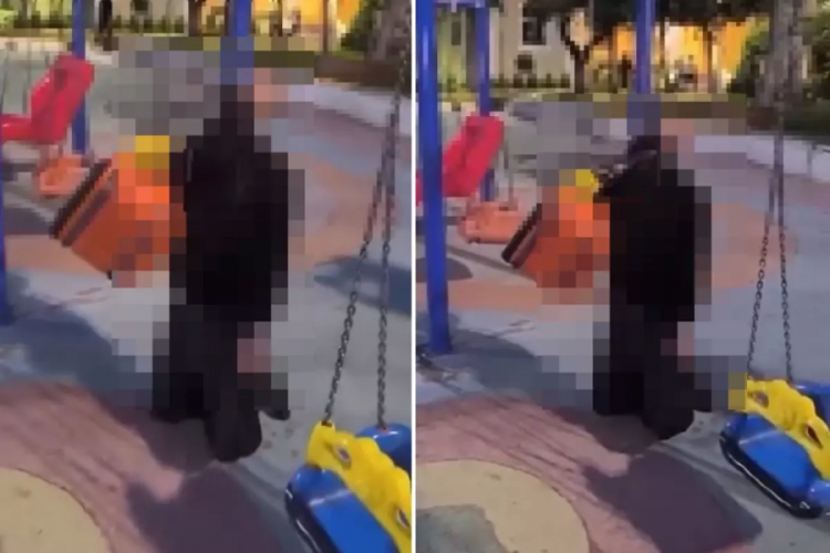 &Ccedil;ocuk parkında dehşete d&uuml;ş&uuml;ren g&ouml;r&uuml;nt&uuml;