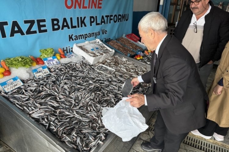 Tezgahlarda hamsi bolluğu: Fiyatlar dibe vurdu