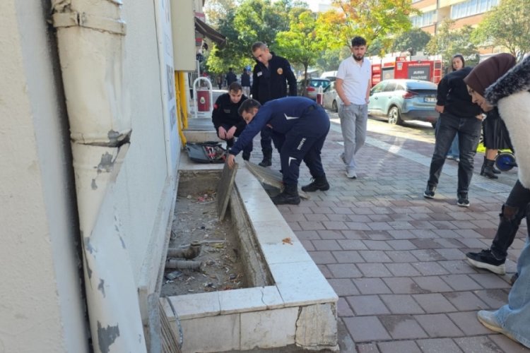 Bursa'da itfaiyeden kedi kurtarma operasyonu