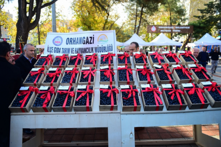 Bursa'da 47.'si d&uuml;zenlenecek zeytin festivalinin tarihi belli oldu...